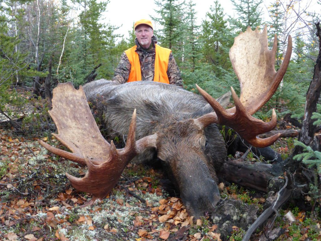 portrait of a man standing behind a large moose freshly killed