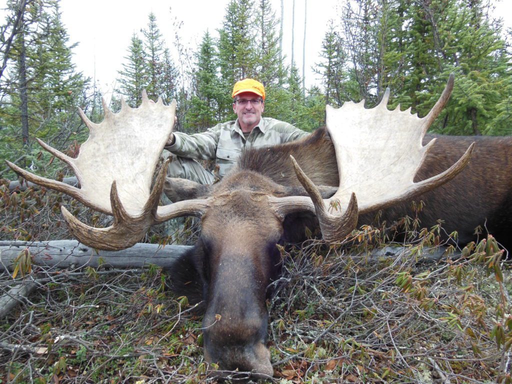 portrait of a man standing behind the head of a large freshly killed moose