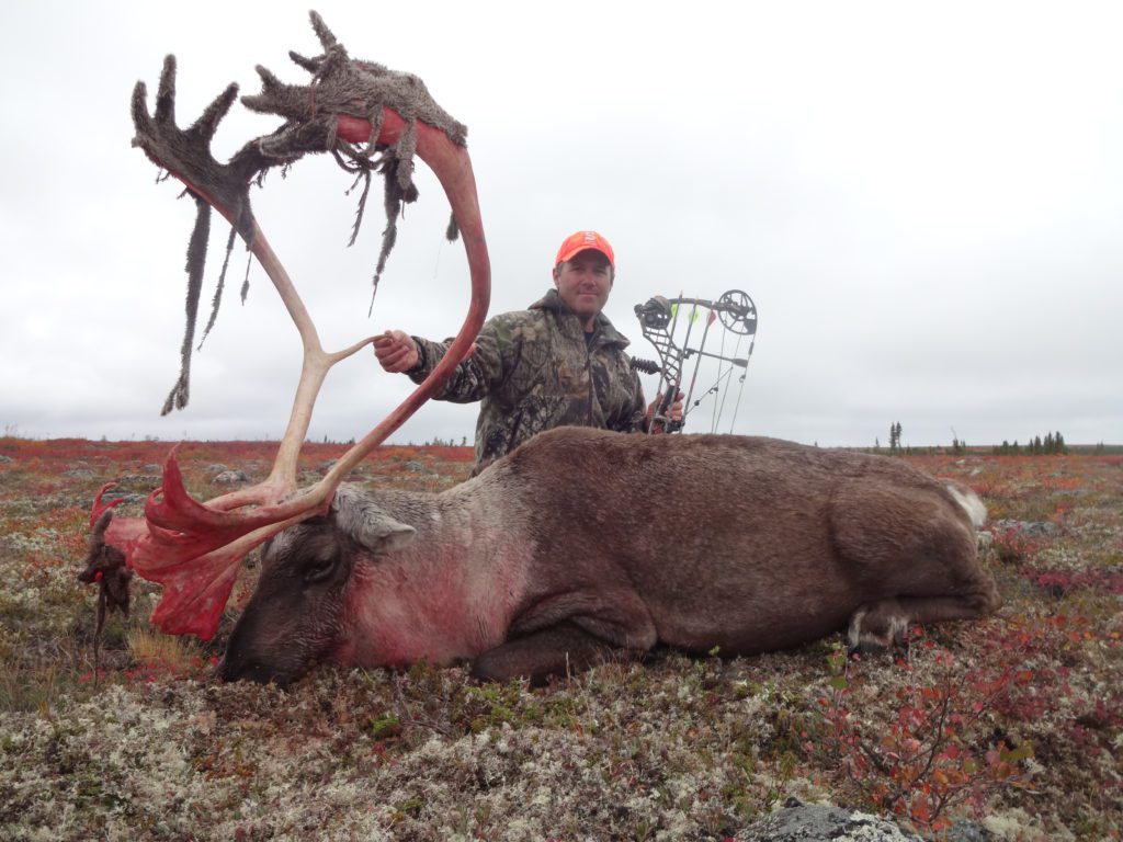 portrait of a man standing behind a large freshly killed caribou
