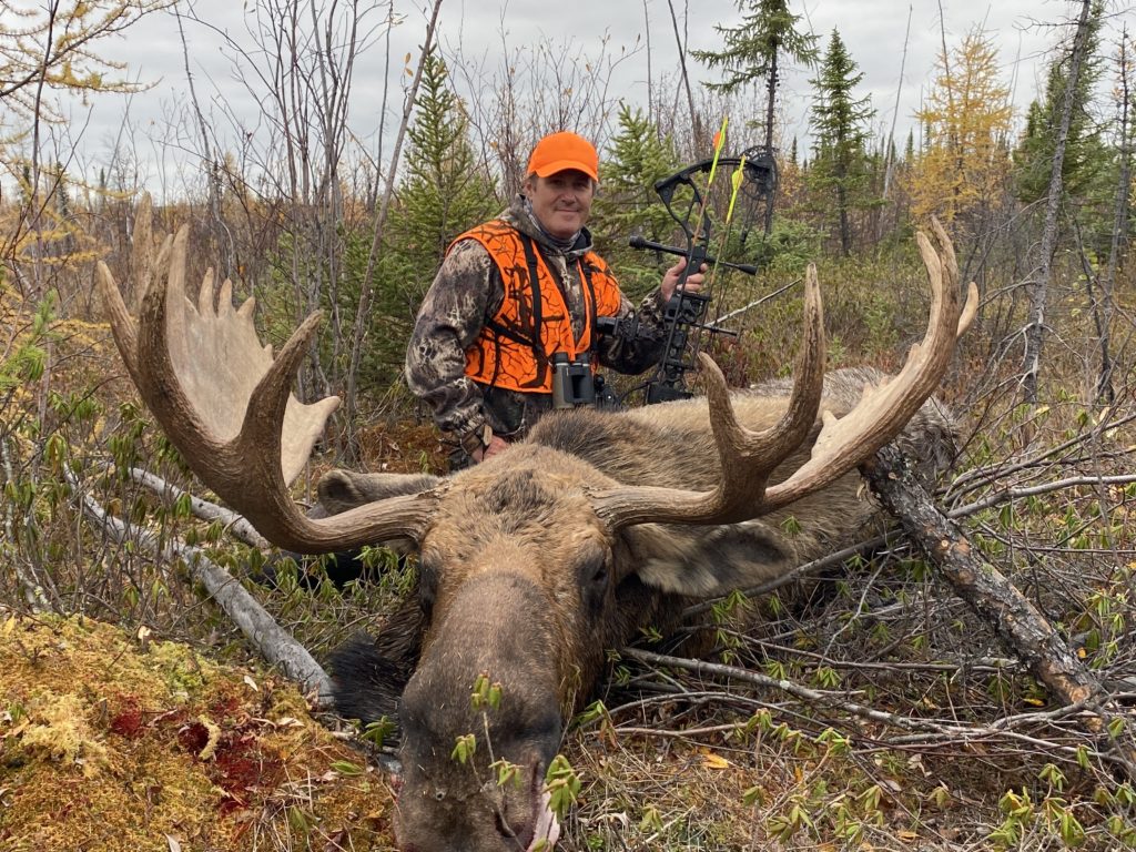 man standing behind large dead moose with a bow.