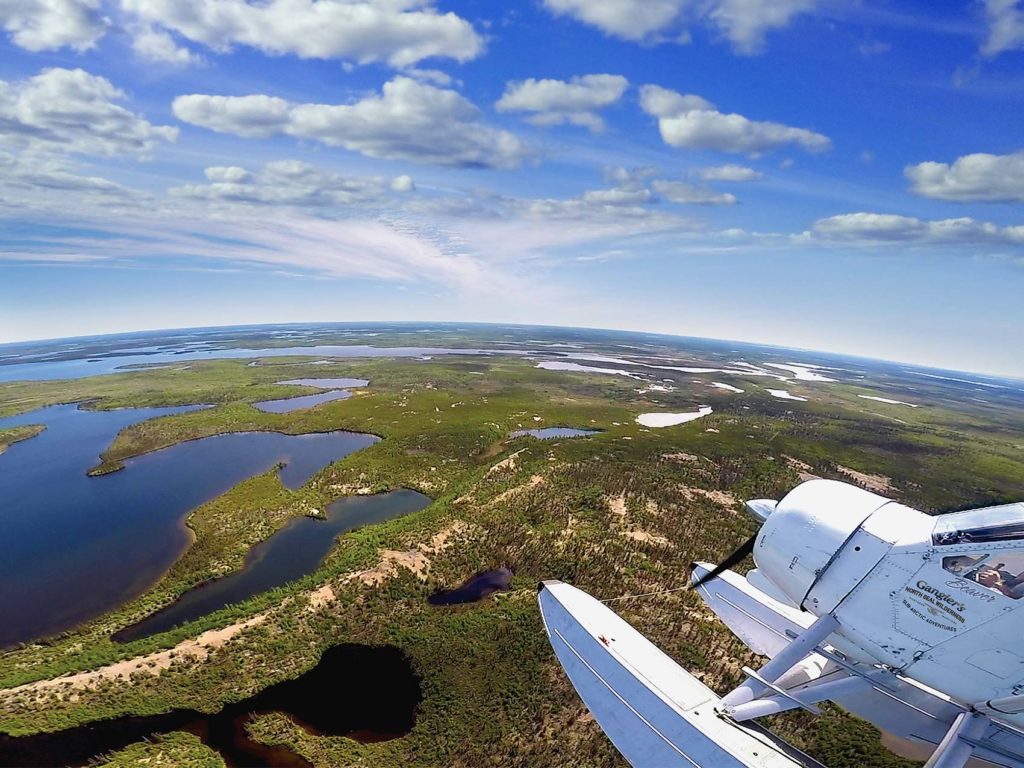 aerial image from a float plane of the North Seal