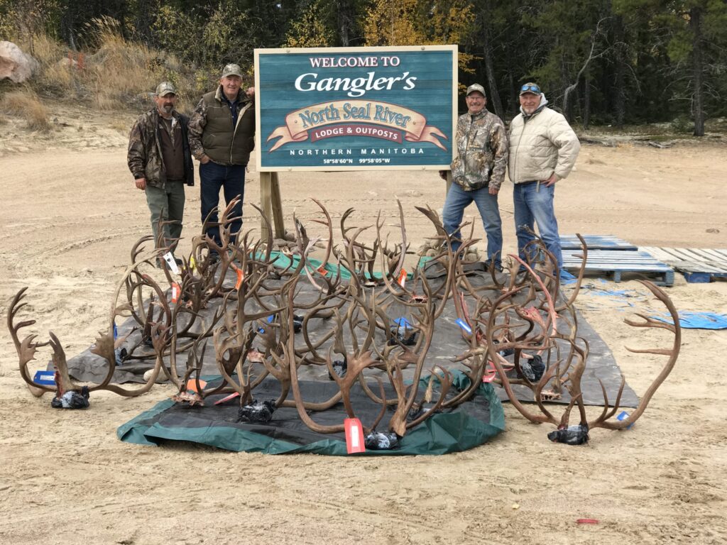 portrait of week 2 of caribou hunting and 4 mention posing with several caribou antlers